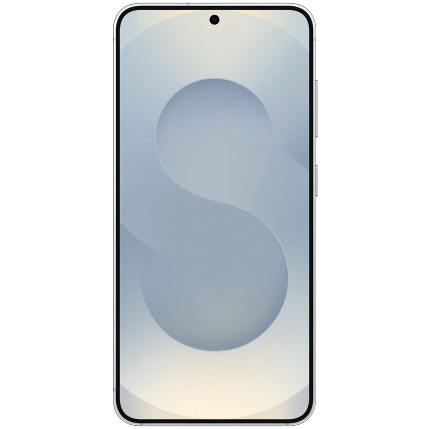 Samsung Galaxy S25 Plus Ricondizionato