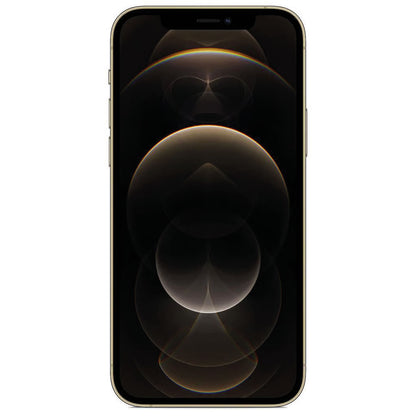 Apple iPhone 12 Pro Max Ricondizionato